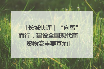 长城快评｜“向智”而行，建设全国现代商贸物流重要基地