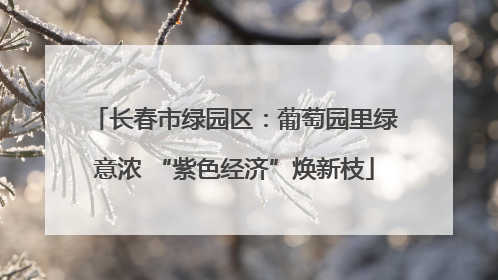长春市绿园区：葡萄园里绿意浓 “紫色经济”焕新枝