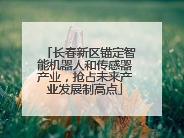 长春新区锚定智能机器人和传感器产业，抢占未来产业发展制高点