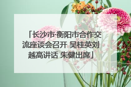 长沙市·衡阳市合作交流座谈会召开 吴桂英刘越高讲话 朱健出席