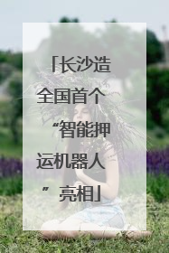 长沙造全国首个“智能押运机器人”亮相