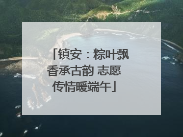 镇安：粽叶飘香承古韵 志愿传情暖端午
