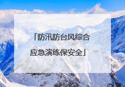 防汛防台风综合应急演练保安全