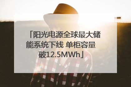 阳光电源全球最大储能系统下线 单柜容量破12.5MWh