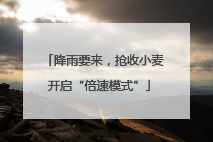 降雨要来，抢收小麦开启“倍速模式”