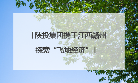 陕投集团携手江西赣州 探索“飞地经济”