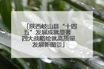 陕西岐山县“十四五”发展成就显著 四大战略绘就高质量发展新图景