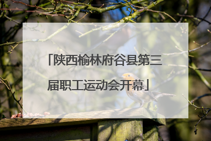 陕西榆林府谷县第三届职工运动会开幕