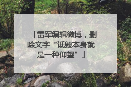 雷军编辑微博，删除文字“诋毁本身就是一种仰望”