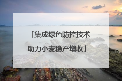 集成绿色防控技术助力小麦稳产增收