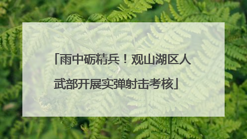 雨中砺精兵！观山湖区人武部开展实弹射击考核