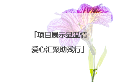 项目展示显温情 爱心汇聚助残行