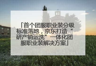 首个团服职业装分级标准落地，京东打造“研产销运洗”一体化团服职业装解决方案