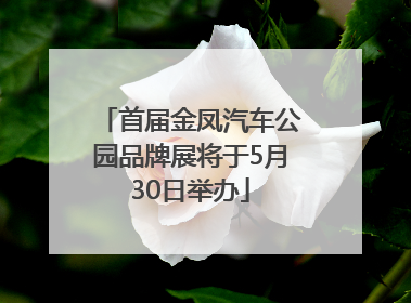 首届金凤汽车公园品牌展将于5月30日举办