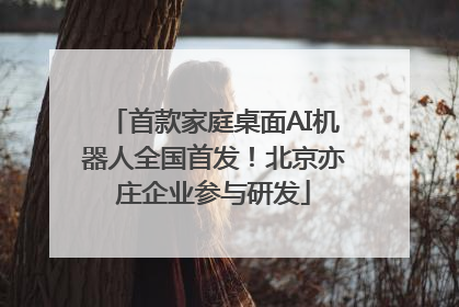 首款家庭桌面AI机器人全国首发！北京亦庄企业参与研发