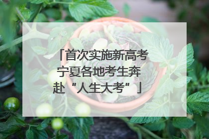 首次实施新高考 宁夏各地考生奔赴“人生大考”