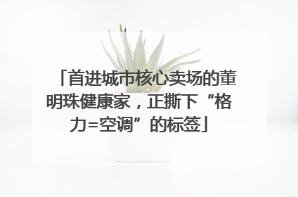 首进城市核心卖场的董明珠健康家,正撕下“格力=空调”的标签