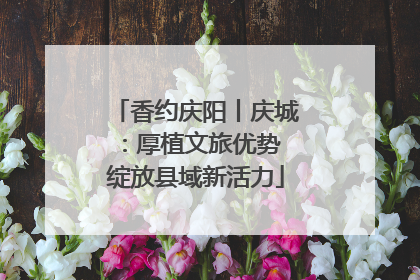 香约庆阳丨庆城：厚植文旅优势 绽放县域新活力