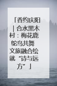 香约庆阳｜合水黑木村：梅花鹿鸵鸟共舞 文旅融合绘就“诗与远方”