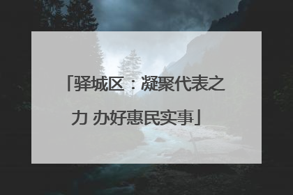 驿城区：凝聚代表之力 办好惠民实事