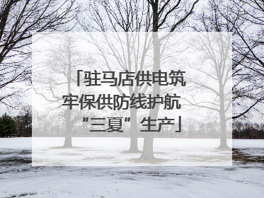 驻马店供电筑牢保供防线护航“三夏”生产