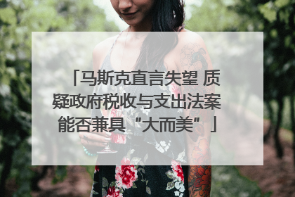马斯克直言失望 质疑政府税收与支出法案能否兼具“大而美”