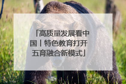 高质量发展看中国丨特色教育打开五育融合新模式