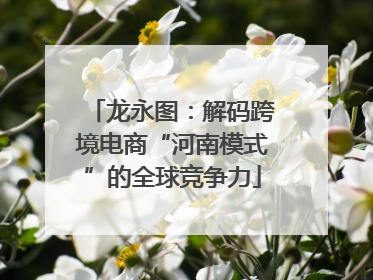 龙永图：解码跨境电商“河南模式”的全球竞争力