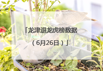 龙津退龙虎榜数据（6月26日）