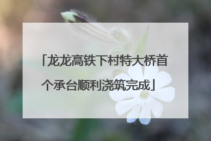 龙龙高铁下村特大桥首个承台顺利浇筑完成