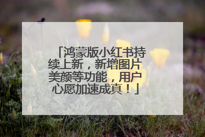 鸿蒙版小红书持续上新，新增图片美颜等功能，用户心愿加速成真！