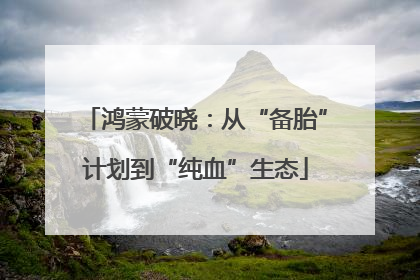 鸿蒙破晓：从“备胎”计划到“纯血”生态