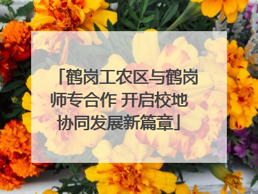 鹤岗工农区与鹤岗师专合作 开启校地协同发展新篇章