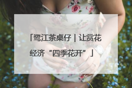 鹭江茶桌仔｜让赏花经济“四季花开”