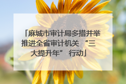 麻城市审计局多措并举推进全省审计机关 “三大提升年” 行动