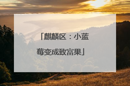 麒麟区：小蓝莓变成致富果