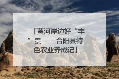 黄河岸边好“丰”景——合阳县特色农业养成记