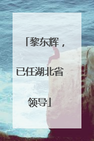 黎东辉，已任湖北省领导