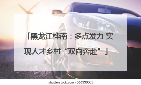 黑龙江桦南：多点发力 实现人才乡村“双向奔赴”