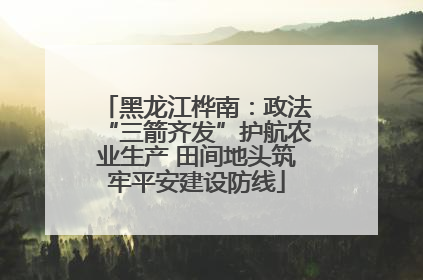 黑龙江桦南：政法“三箭齐发”护航农业生产 田间地头筑牢平安建设防线