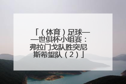（体育）足球——世俱杯小组赛：弗拉门戈队胜突尼斯希望队（2）