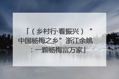 （乡村行·看振兴）“中国杨梅之乡”浙江余姚：一颗杨梅富万家