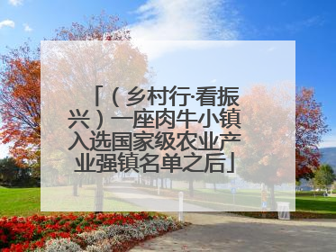 （乡村行·看振兴）一座肉牛小镇入选国家级农业产业强镇名单之后