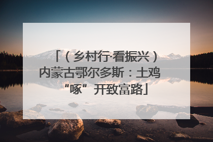 （乡村行·看振兴）内蒙古鄂尔多斯：土鸡“啄”开致富路
