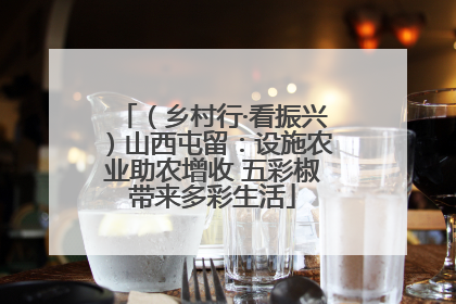 （乡村行·看振兴）山西屯留：设施农业助农增收 五彩椒带来多彩生活