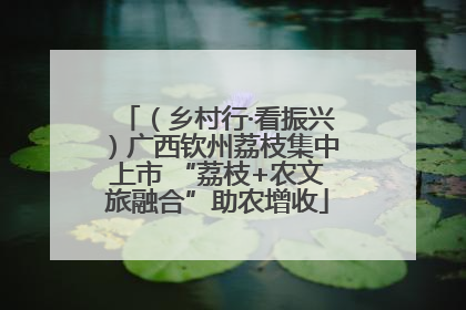 （乡村行·看振兴）广西钦州荔枝集中上市 “荔枝+农文旅融合”助农增收