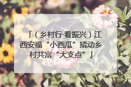 （乡村行·看振兴）江西安福“小西瓜”撬动乡村共富“大支点”