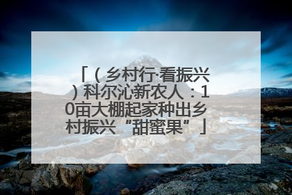 （乡村行·看振兴）科尔沁新农人：10亩大棚起家种出乡村振兴“甜蜜果”