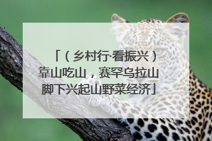 （乡村行·看振兴）靠山吃山，赛罕乌拉山脚下兴起山野菜经济