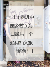 （走进中国乡村）海口最后一个渔村捕文旅“新鱼”